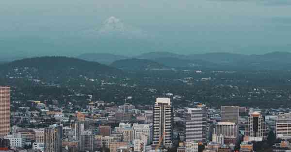 免费梯子加速器软件下载免登录